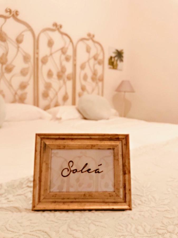 فندق Casa Buleria جيريز المظهر الخارجي الصورة